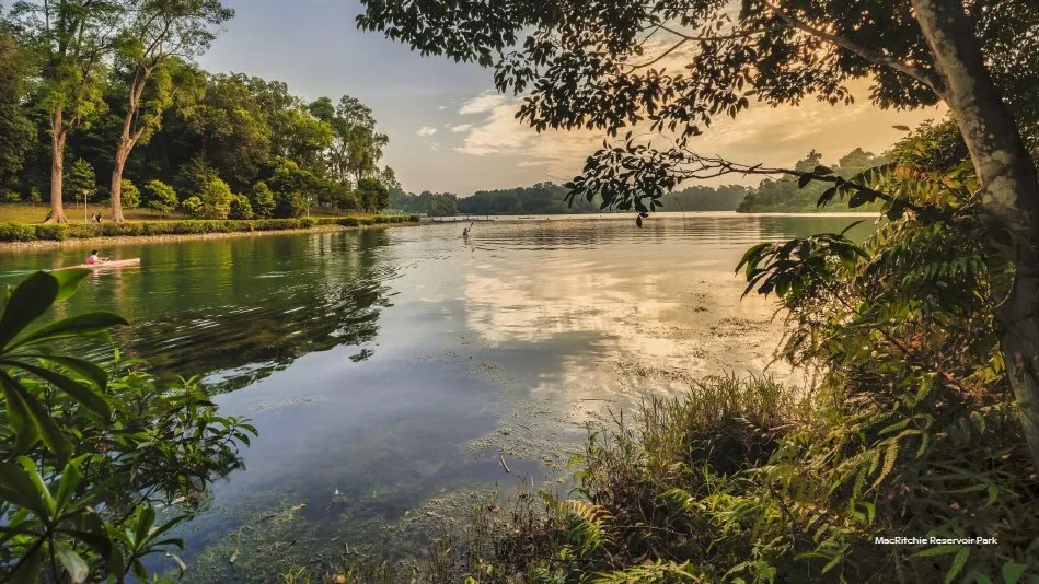 MacRitchie Reservoir